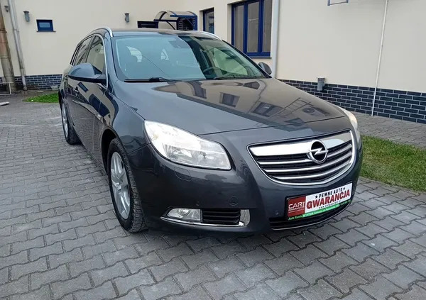 wielkopolskie Opel Insignia cena 19850 przebieg: 205200, rok produkcji 2010 z Gniezno